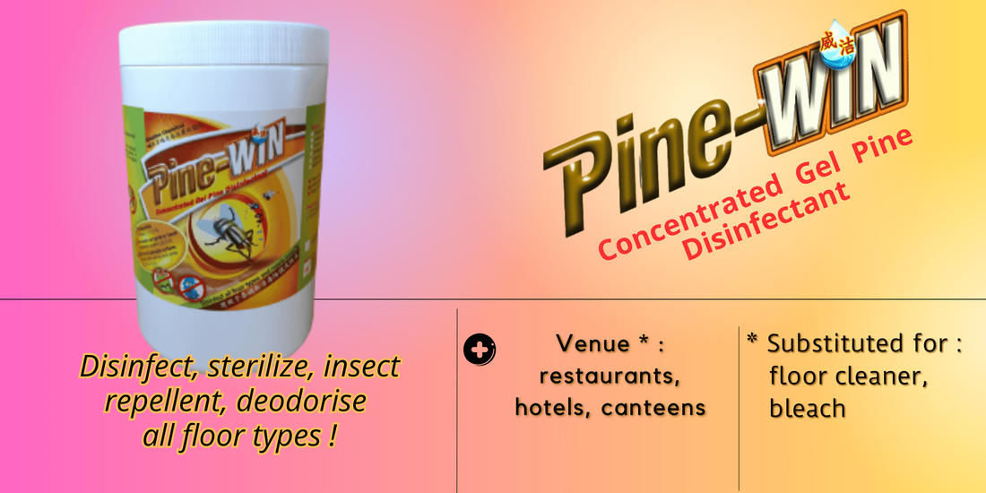 Pine-WIN gel pine disinfectant with anti-bacteria agent assure trua disinfect, sterilized, insect repellent, deodorise all floor types
