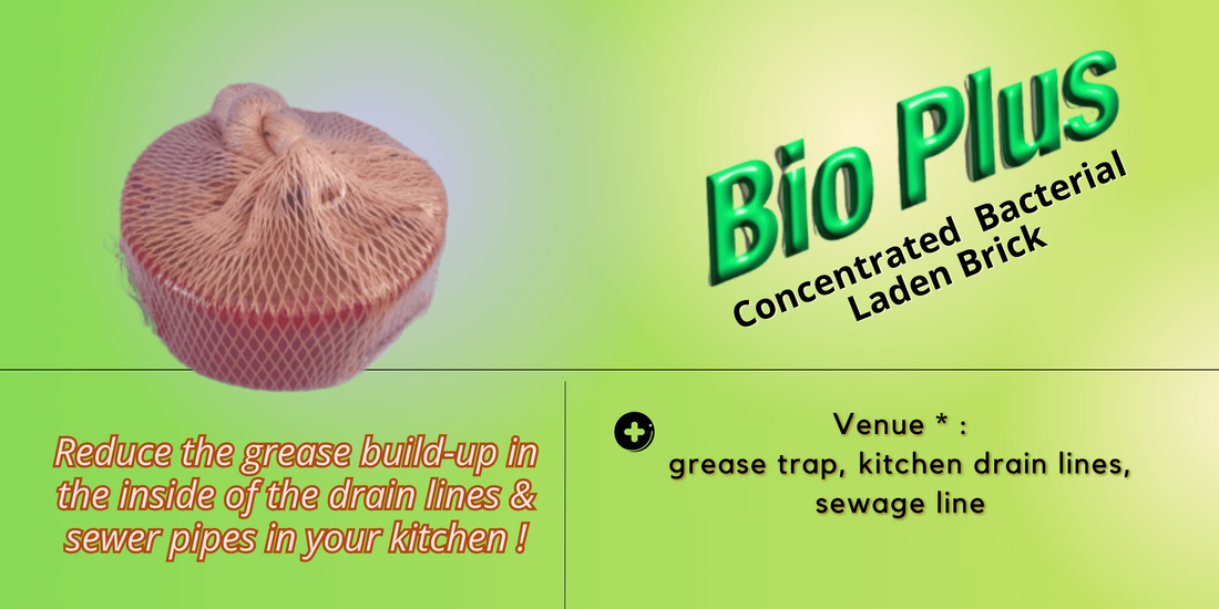 Bio plus bacterial laden brick reduce grease build-up in the inside of the drain lines and sewer pipes in your kitchen